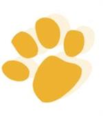 Gold Paw Print 